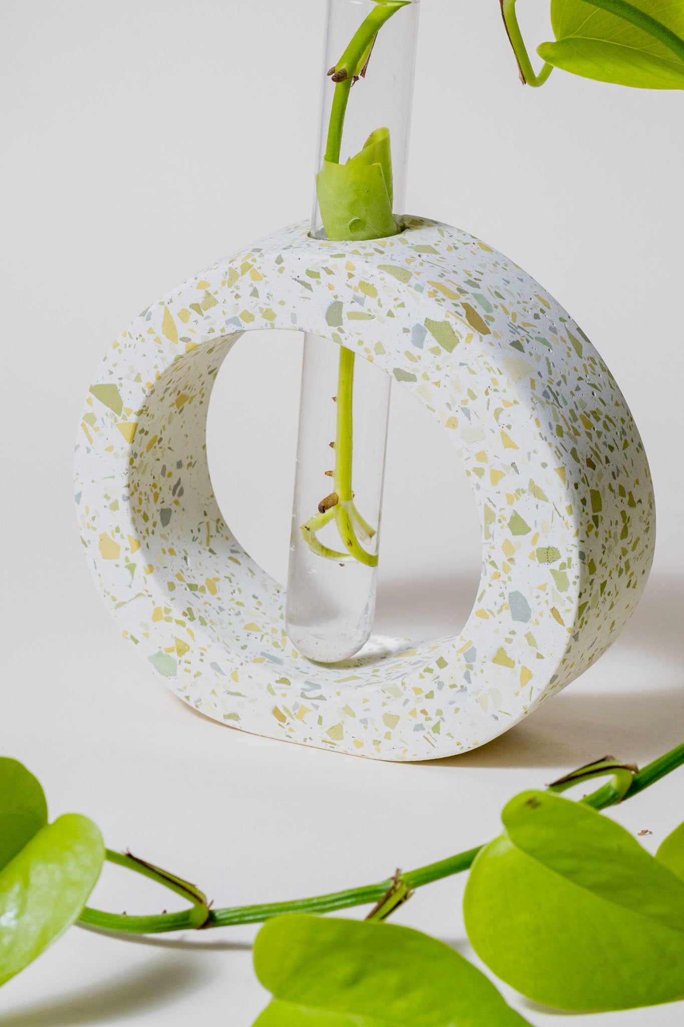 Elo Natural — Vaso Redondo